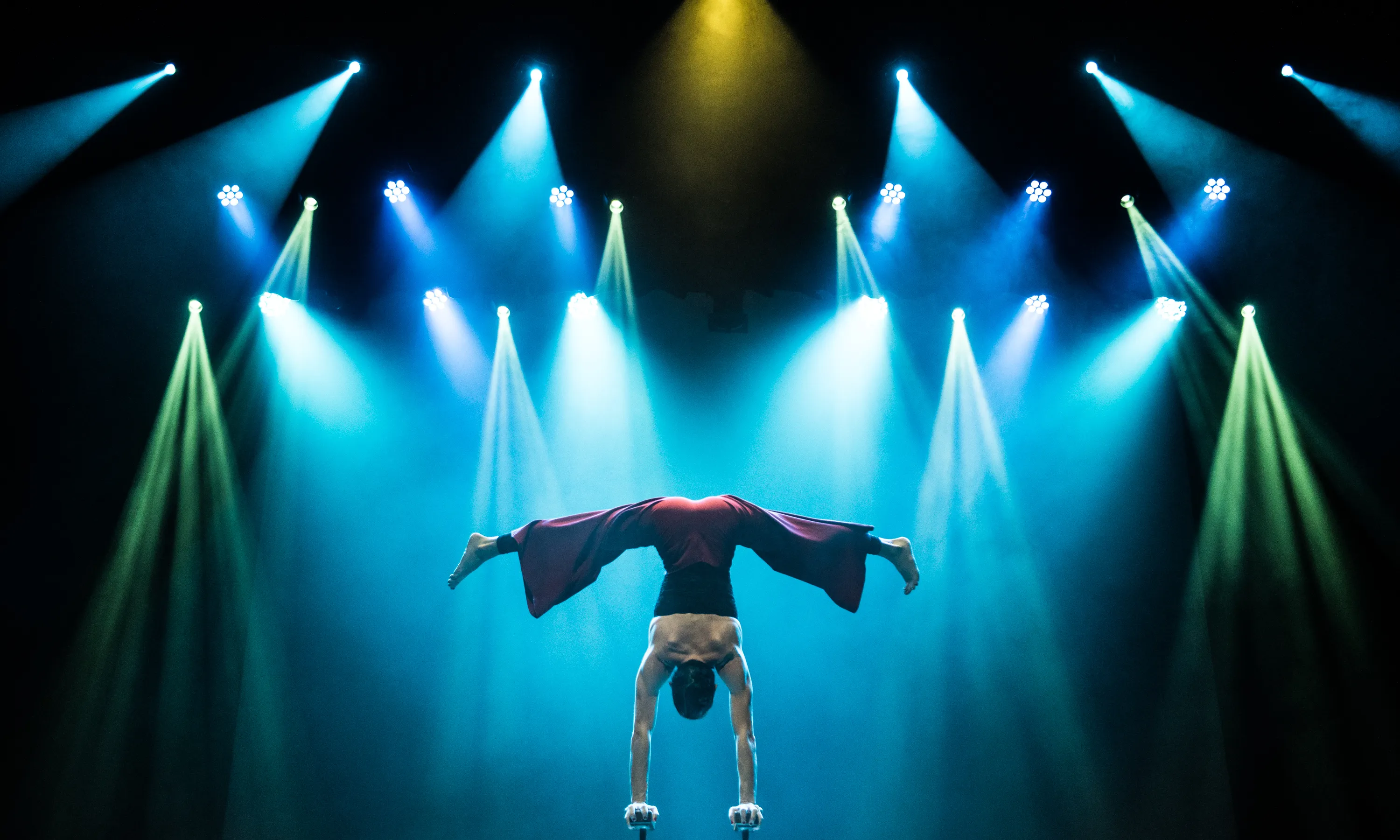 En aquests deu anys, la Fundació Catalunya Cultura ha acompanyat gairebé 300 projectes culturals.