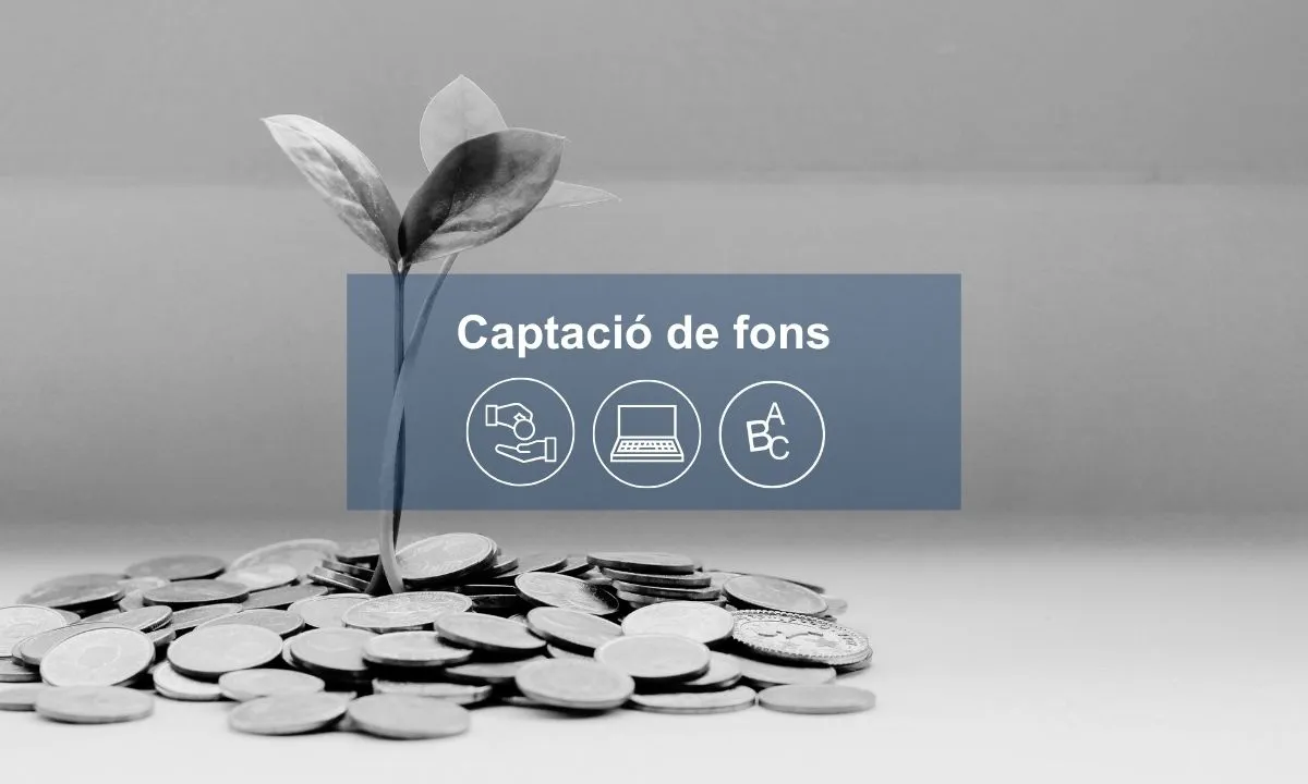 Captar recursos és molt important per poder créixer. Font: Coordinadora Catalana de Fundacions.