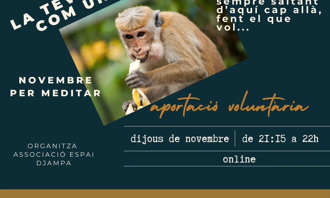 Trobades ONLINE novembre 2024
