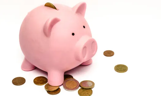 La formació dona les eines necessàries per fer una bona justificació del que s'ha fet amb les subvencions rebudes.