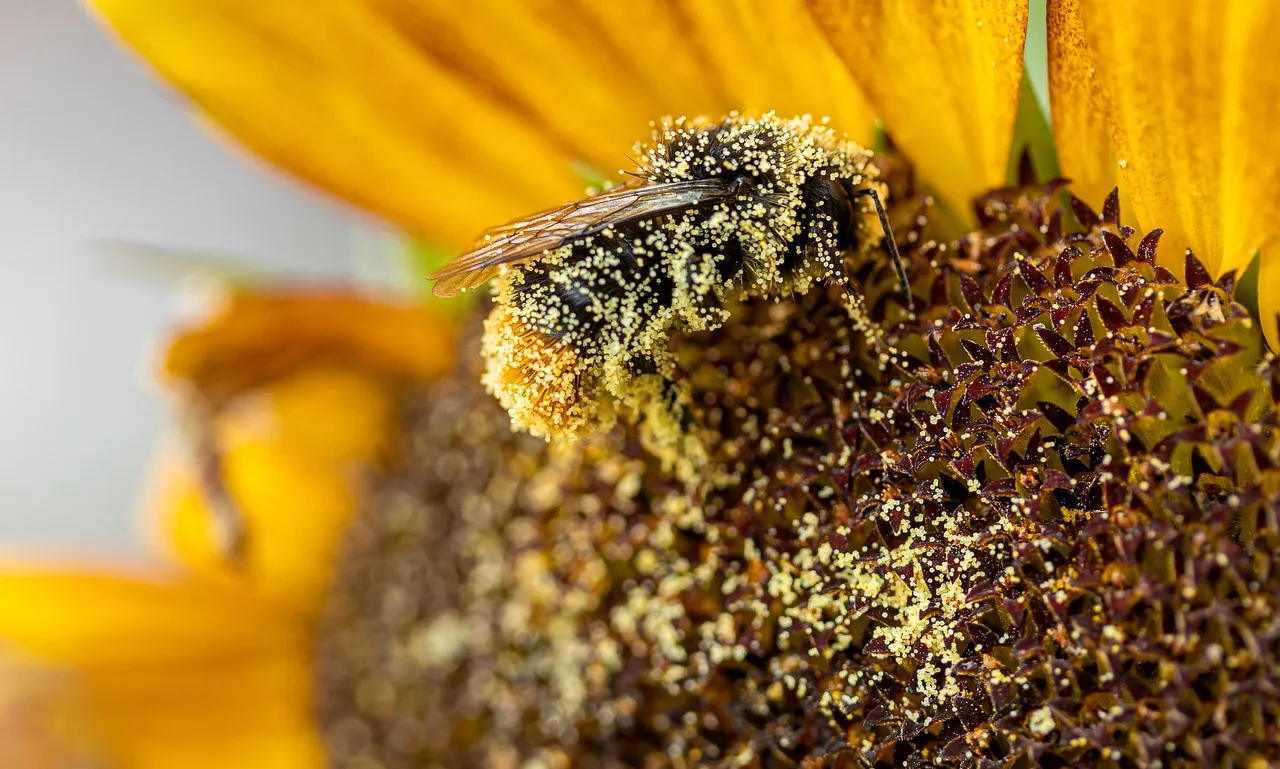 El pol·len, les espores i el canvi climàtic. A càrrec de Jordina Belmonte.