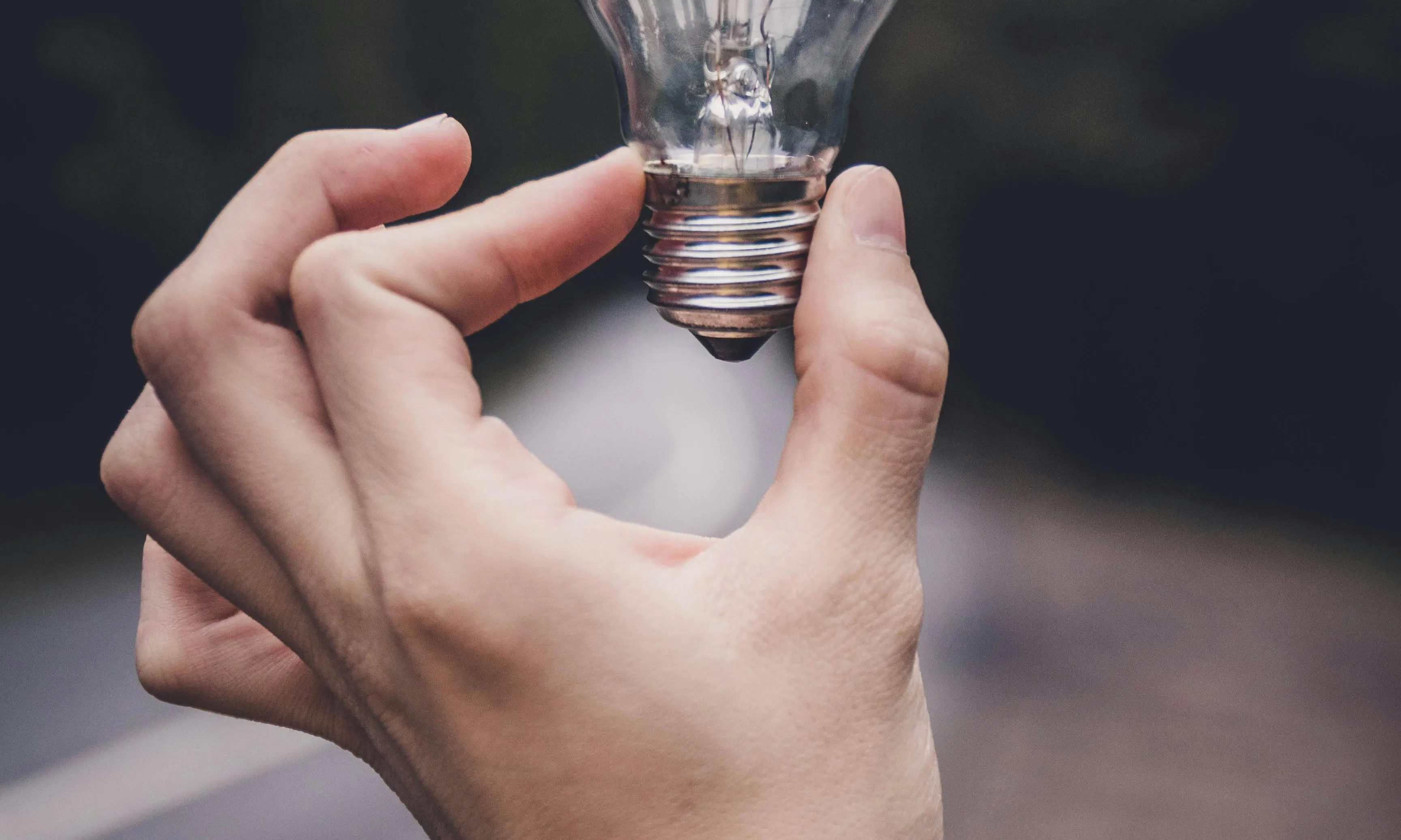 Mà agafant una bombeta amb un paisatge i un camí de fons