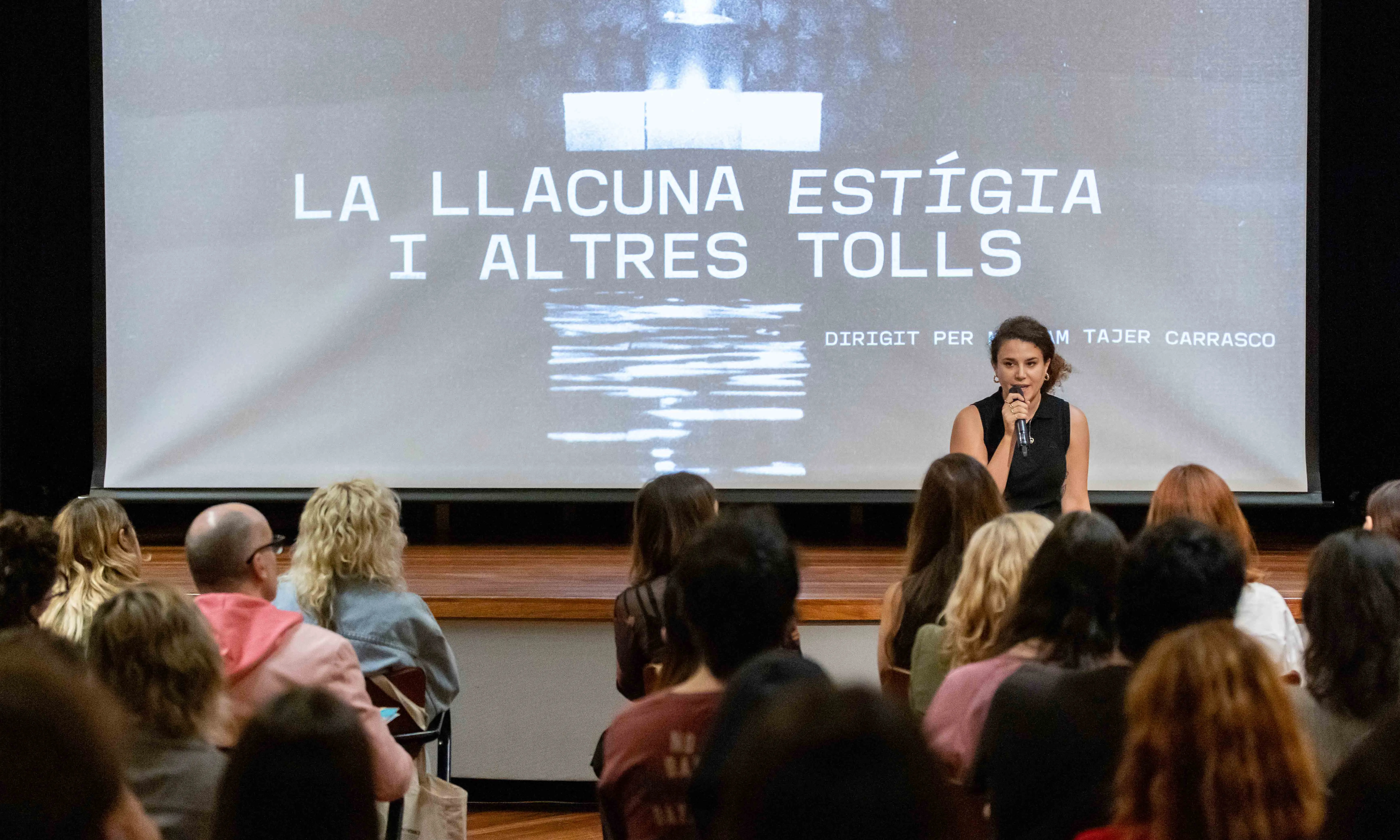 Dones Visuals es va crear amb l'objectiu de revertir la desigualtat històrica i promoure la diversitat