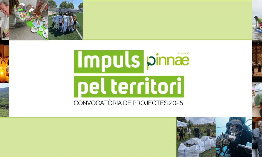 Logotip de les ajudes