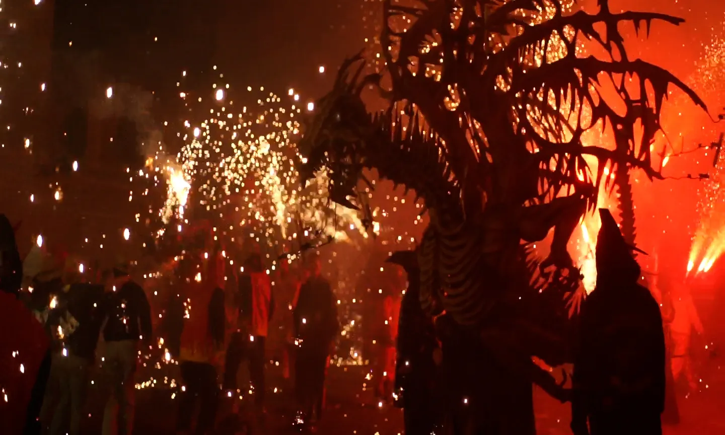 Edició del Festival 2024