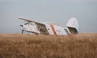 Avió en un camp
