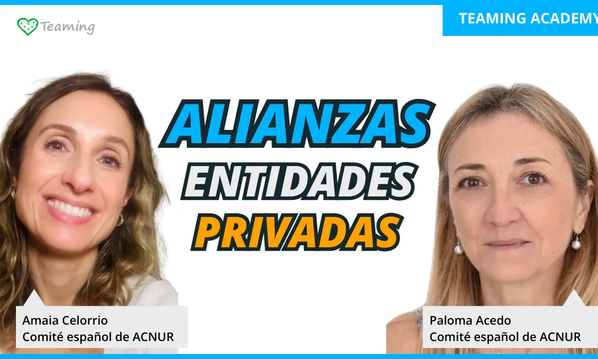  Estratègies per a gestionar aliances amb entitats privades
