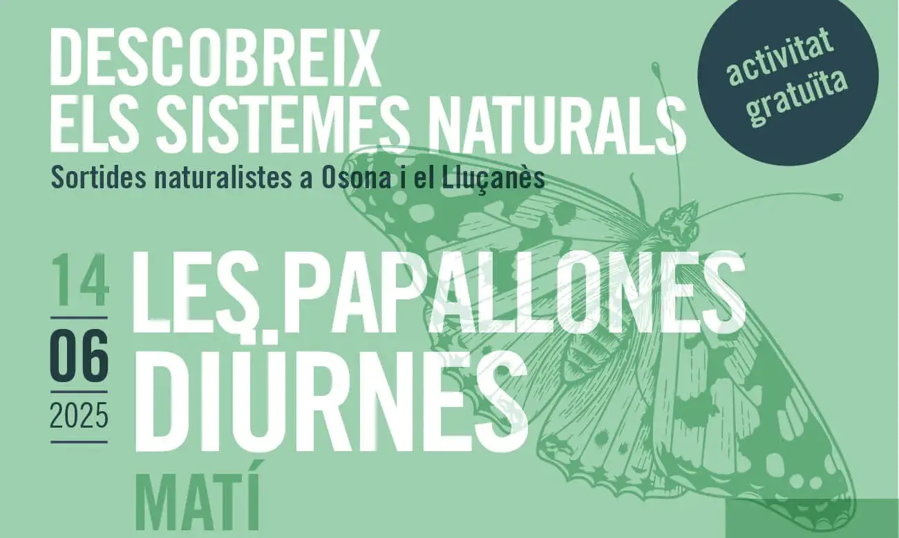 Cartell de la sortida ‘Les papallones diürnes d’Osona’