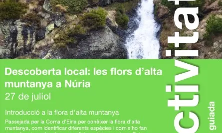 Passejada guiada per la Coma d’Eina per descobrir la flora d'altitud