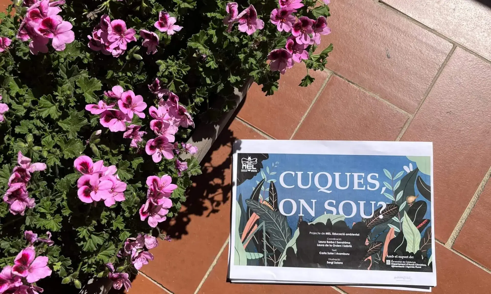 Conte teatralitzat sobre les cuques de llum