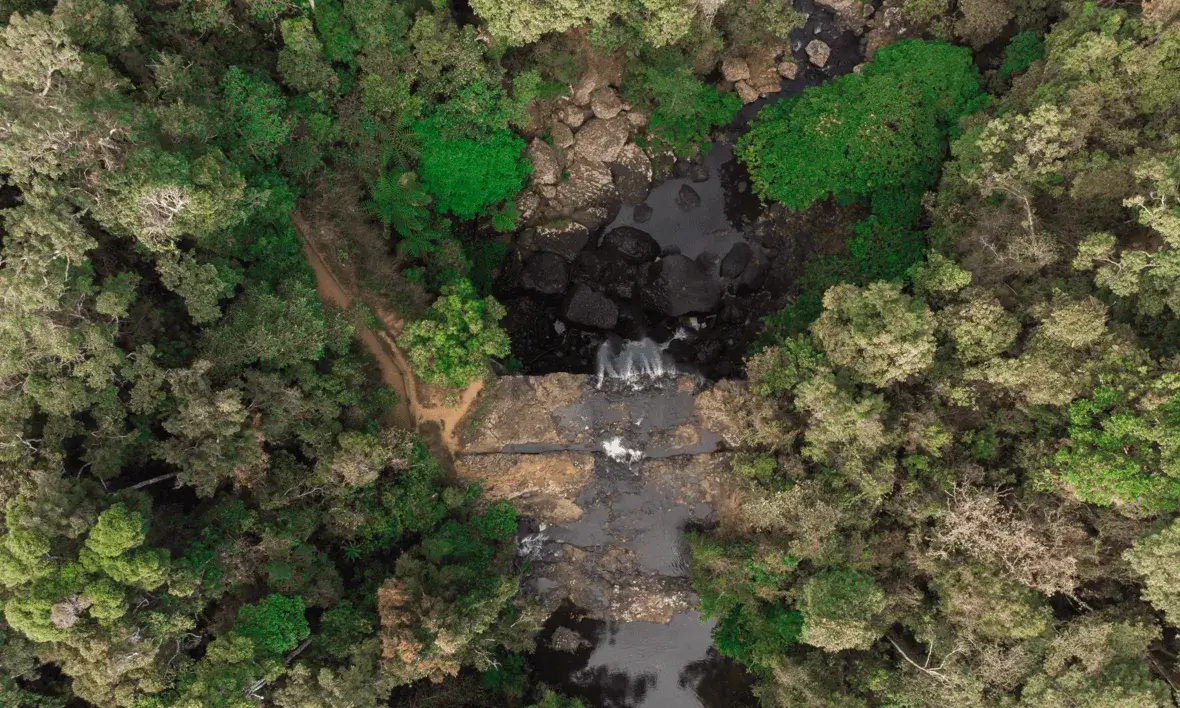 L’informe ‘Indicadors socioeconòmics i de gènere’, elaborat per la XCN en el marc del projecte ‘Custforest’ constata la realitat de les entitats de conservació de la natura.