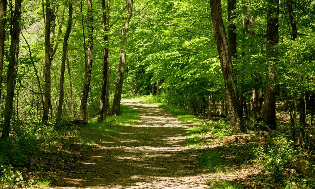 “La precarietat de les entitats ambientals és estructural, crònica i limita greument la seva capacitat d’incidència i transformació”, expliquen des de la XCN.