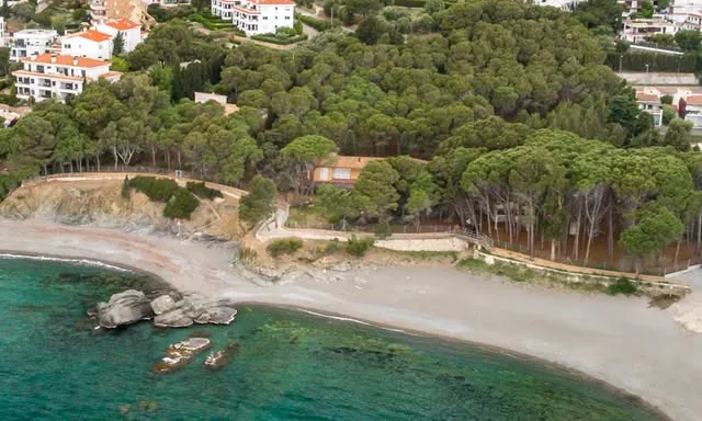 La Farella és l’última pineda litoral de Llançà, un racó emblemàtic i molt estimat pel veïnat, amb alt valor paisatgístic i ecològic.