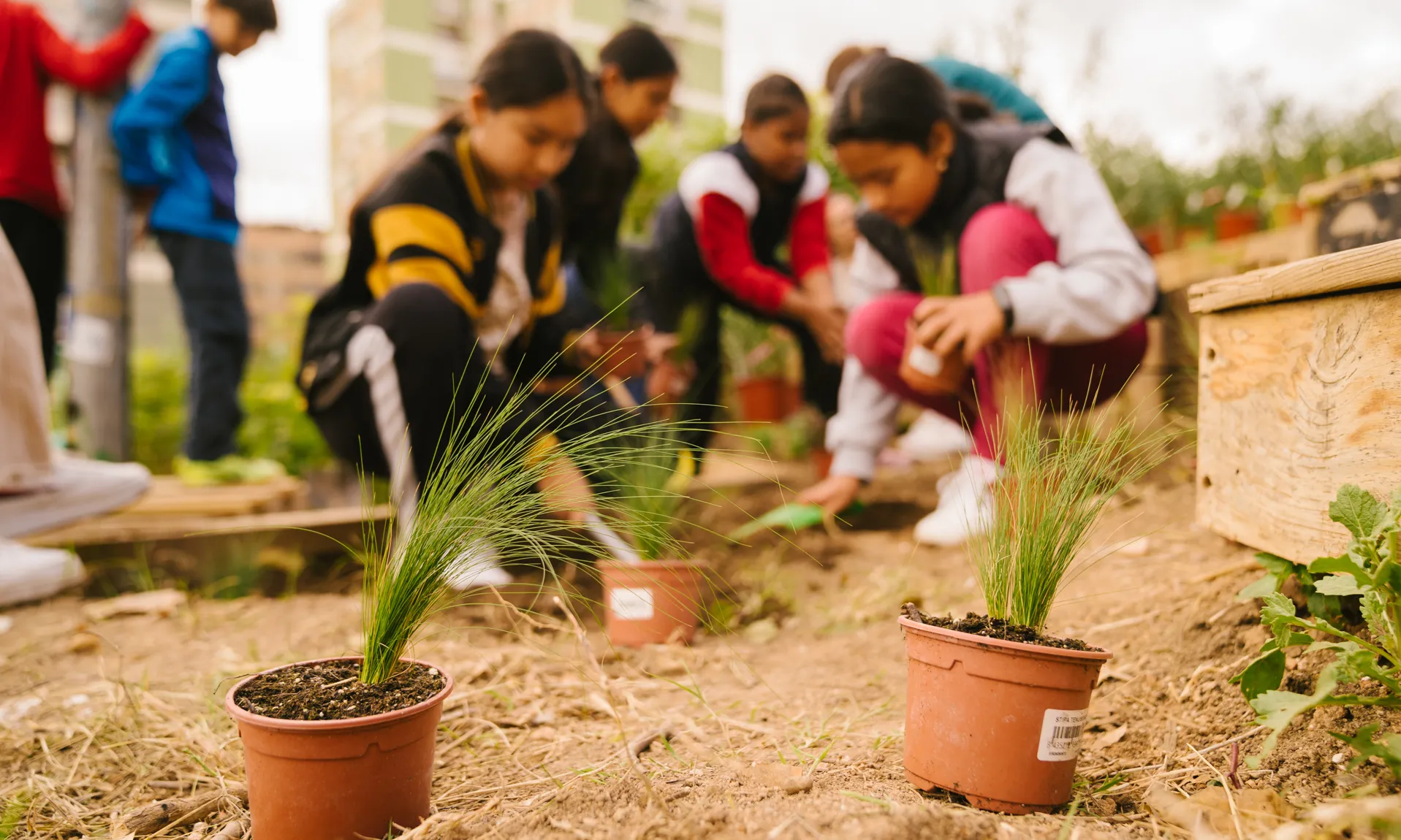Contorno Urbano és una fundació que impulsa projectes culturals i artístics des d’una perspectiva ecològica.