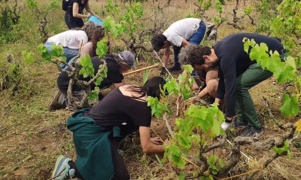Des de Guardiola de Font-rubí, l'entitat treballa per repensar la ruralitat des d’una mirada més justa, viva i sostenible.