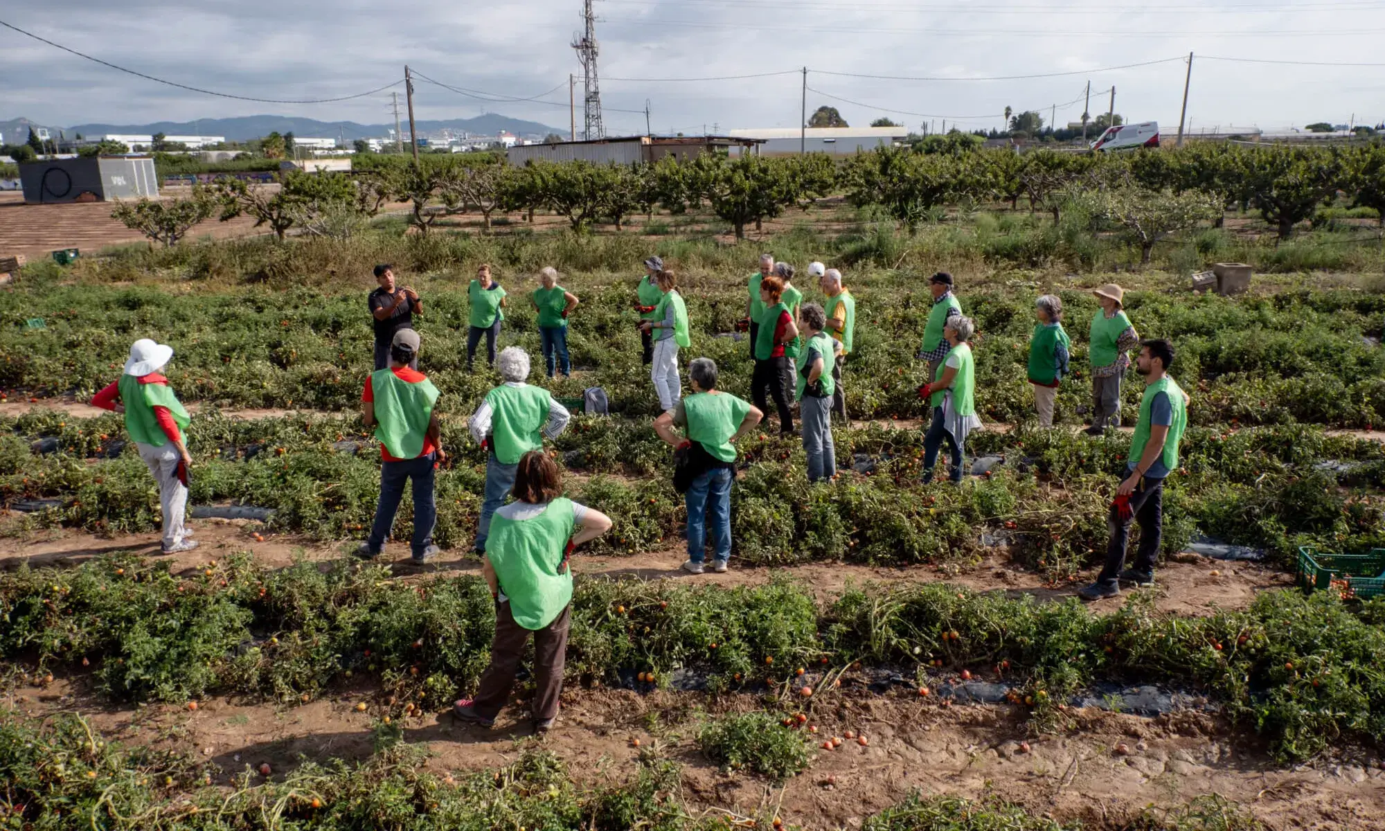 Una de les espigolades organitzades per la Fundació.