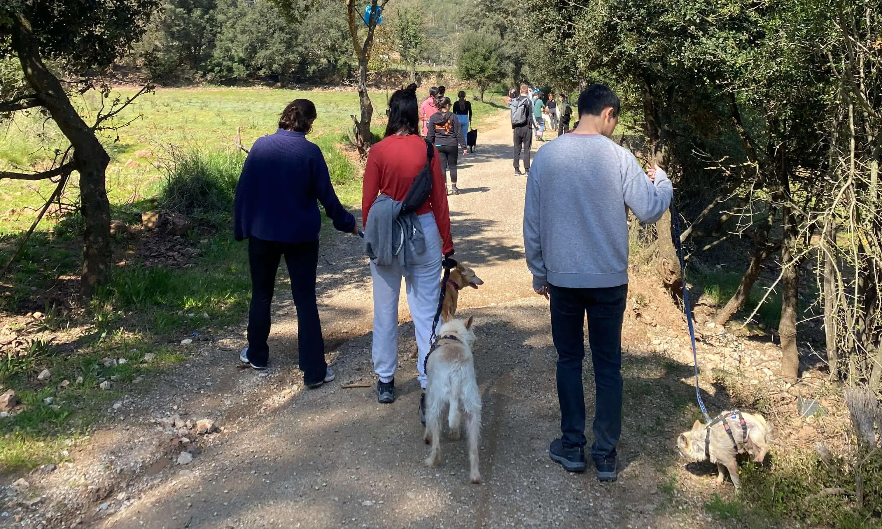 La Fundació organitza jornades amb empreses per visitar les protectores i passar una jornada de convivència.