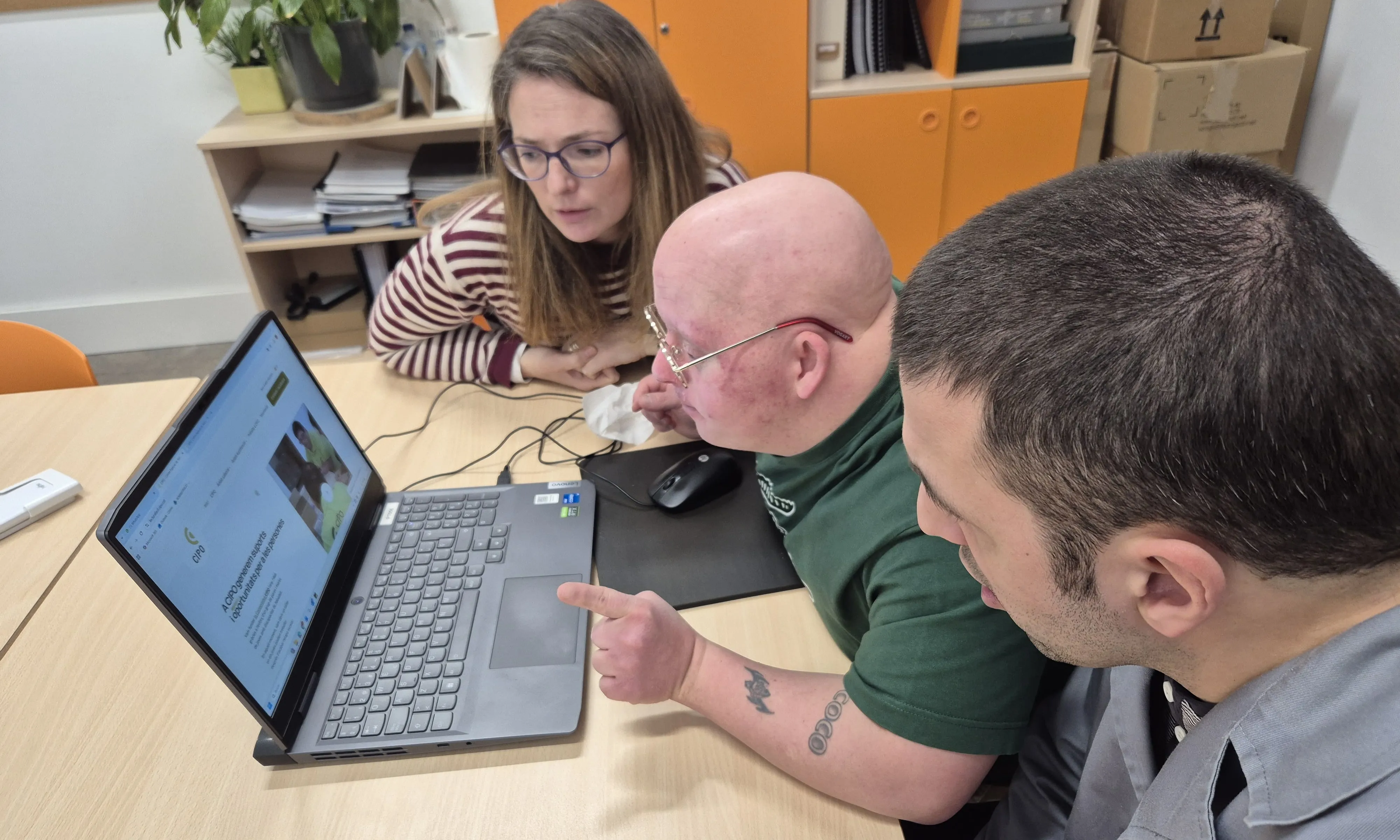 Imatge de les proves de la nova web de CIPO