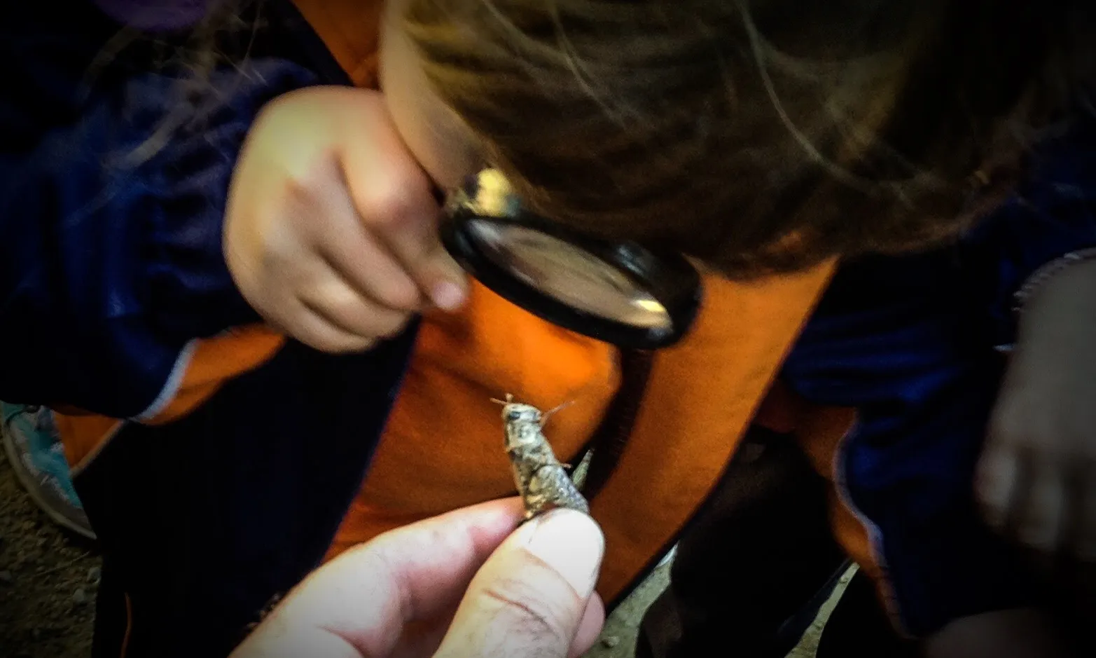 L'entitat treballa amb centres educatius, famílies, grups d’amics, empreses i associacions, amb la idea d’apropar la natura a les persones amb criteri, coneixement i cura. 