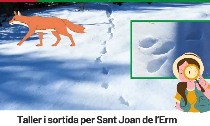 Cartell oficial del taller 'Rastres i petjades a la neu'.