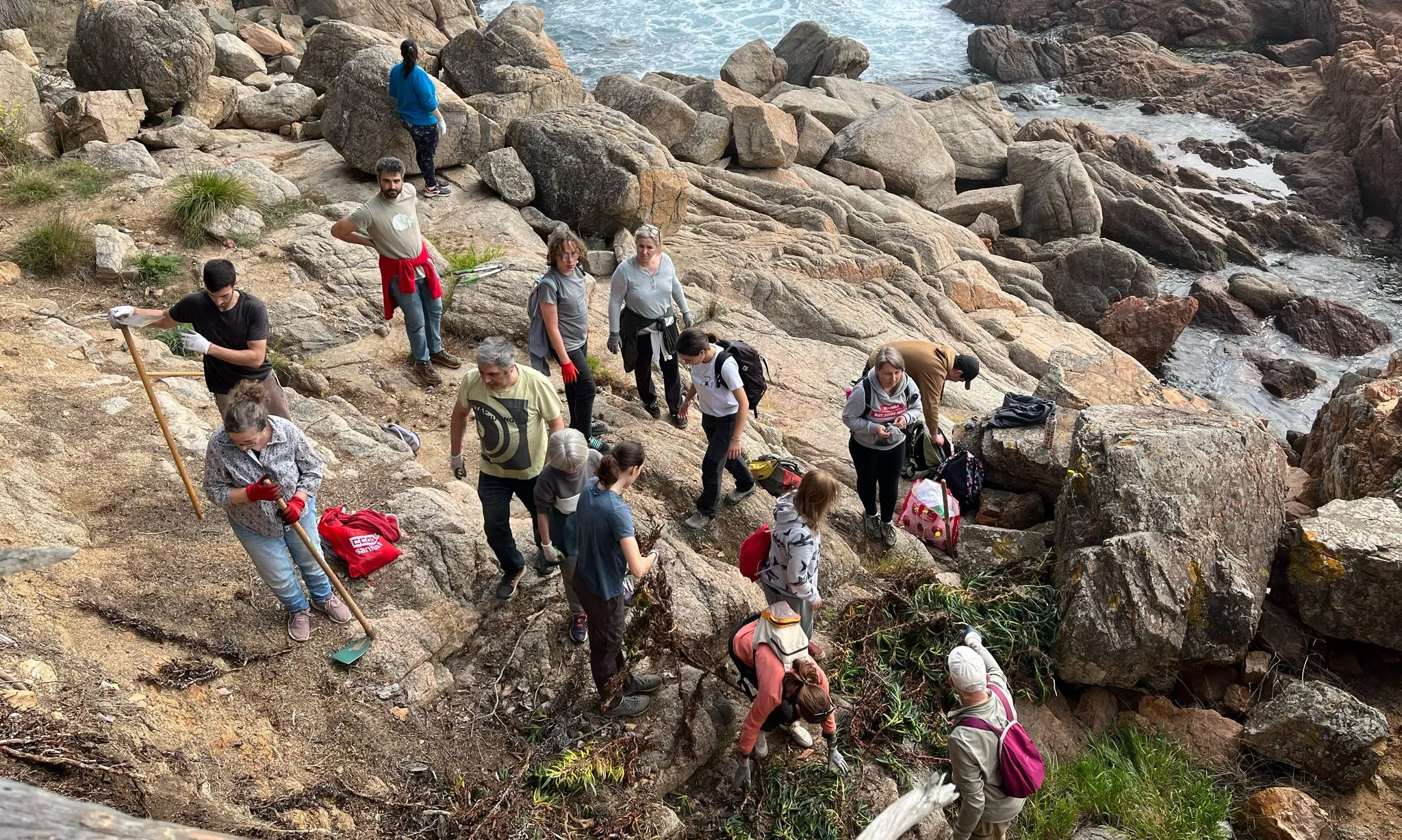 Extracció d'invasores a la Platja de Castell, en el marc del projecte de l'EIN - Espai d'Interés Natural de Platja Castell-Cap Roig.