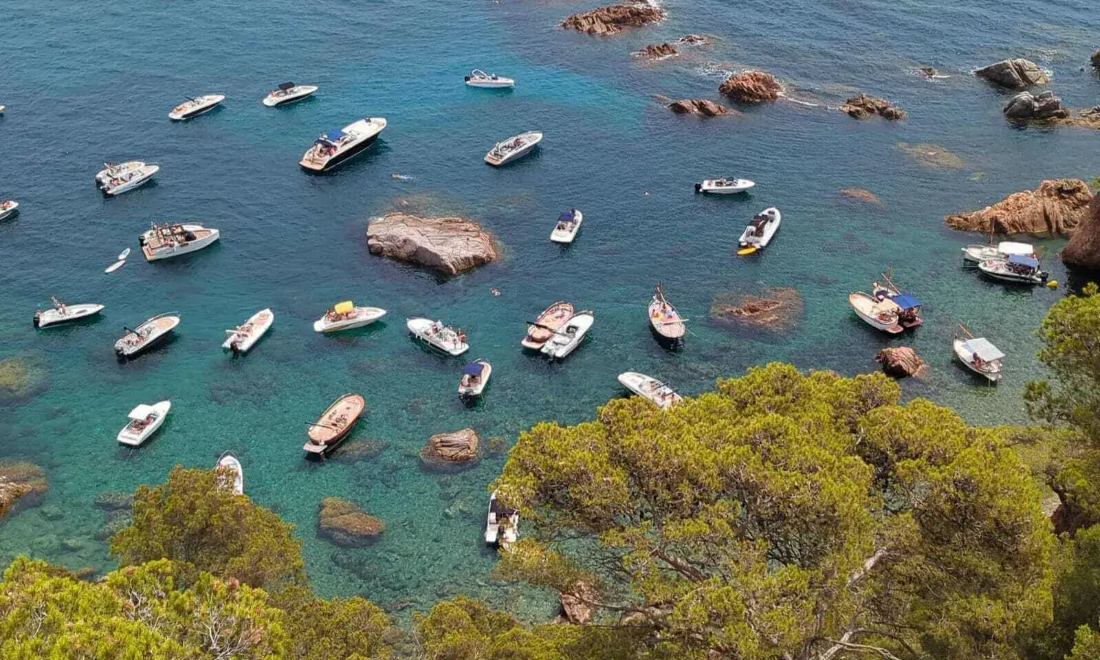 SOS Costa Brava alerta de la degradació de la posidònia per la pressió creixent de les embarcacions.