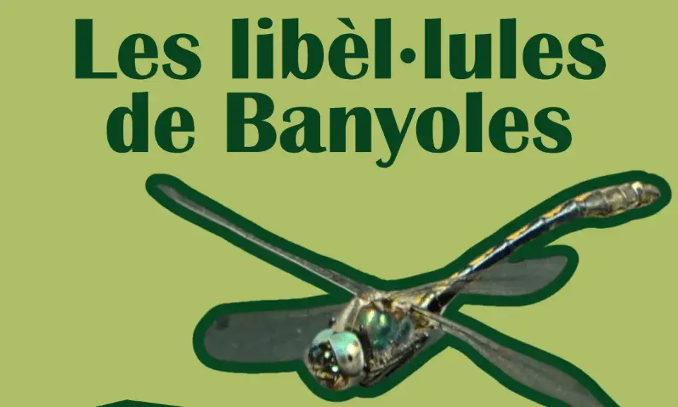 Cartell oficial de l'activitat 'Les libèl·lules de Banyoles'.