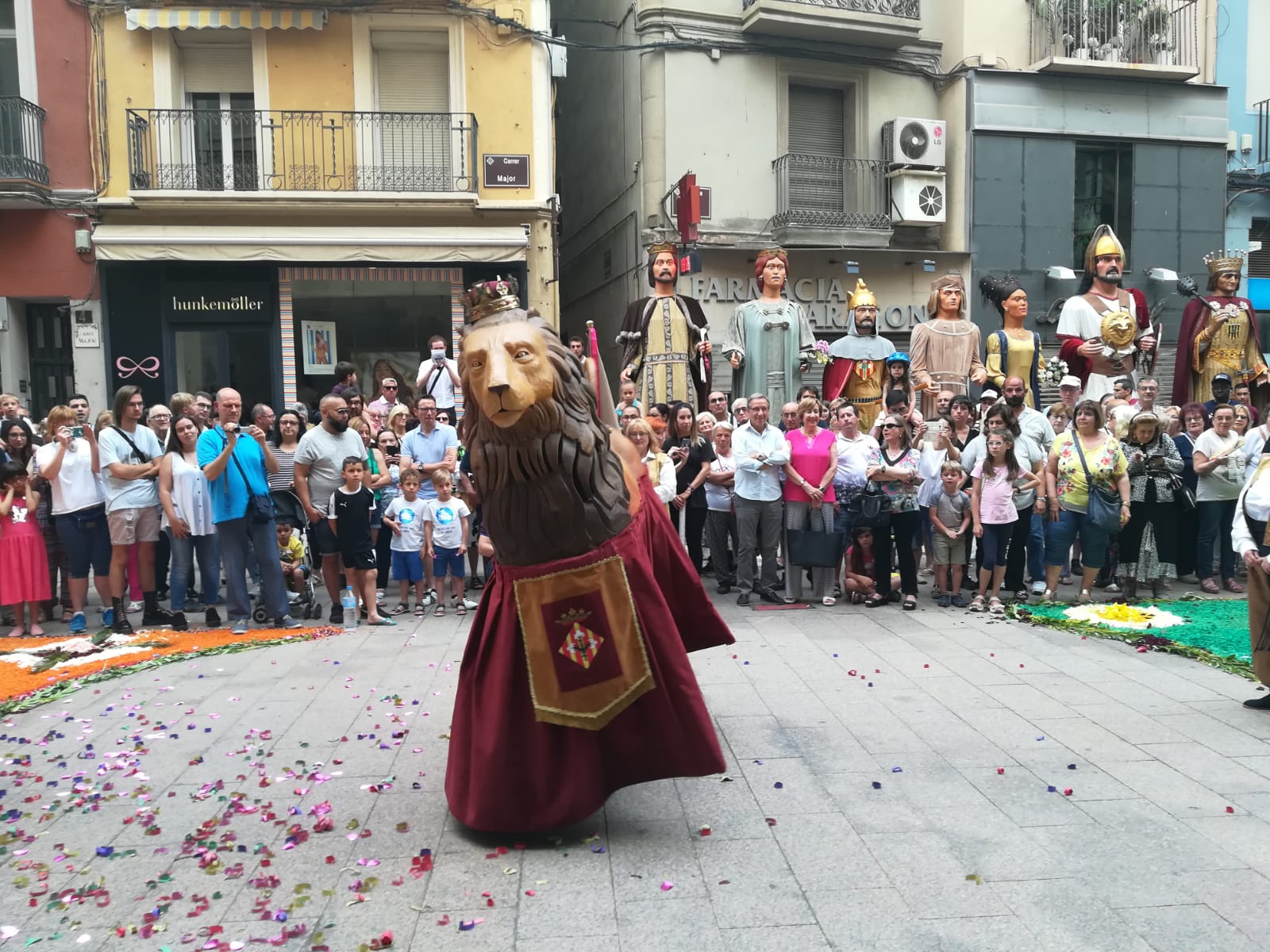 El Lleó de Lleida és un dels elements de la cultura popular que ha recuperat l'entitat.