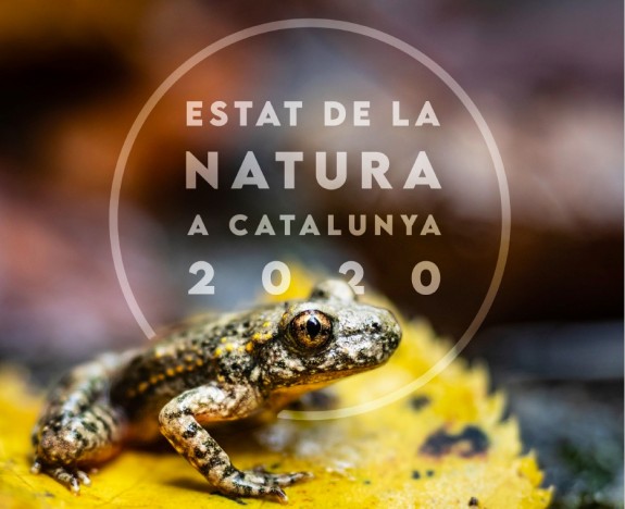 Informe ‘L’Estat de la natura i la biodiversitat a Catalunya 2020’. 