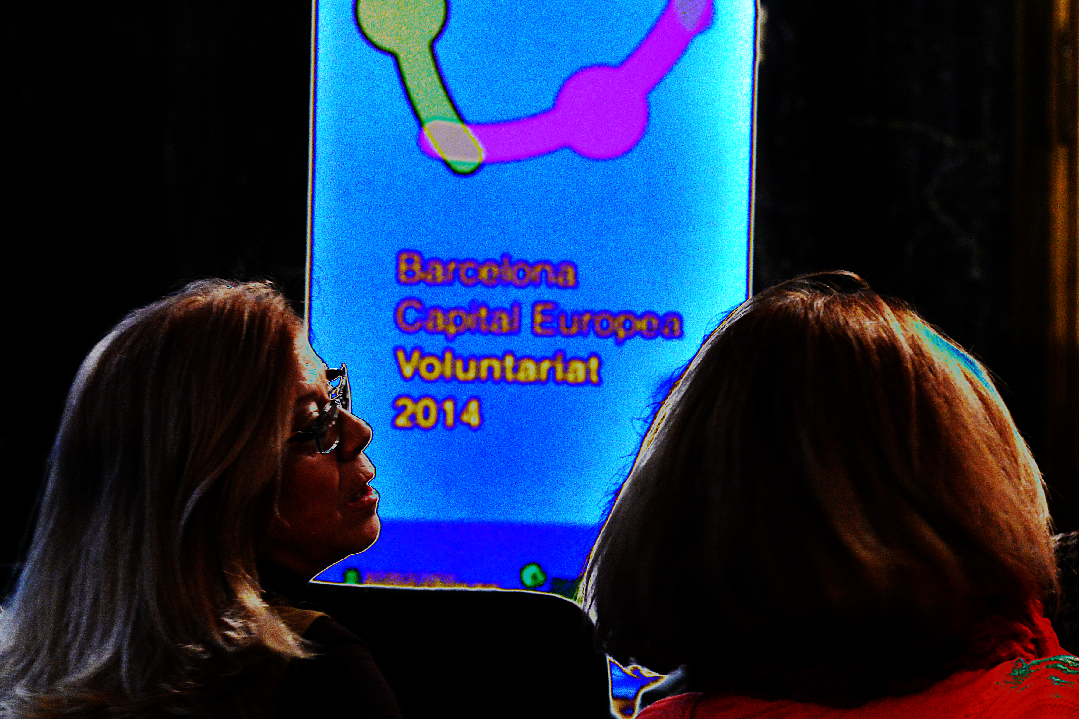 Presentació #bcnvoluntariat2014