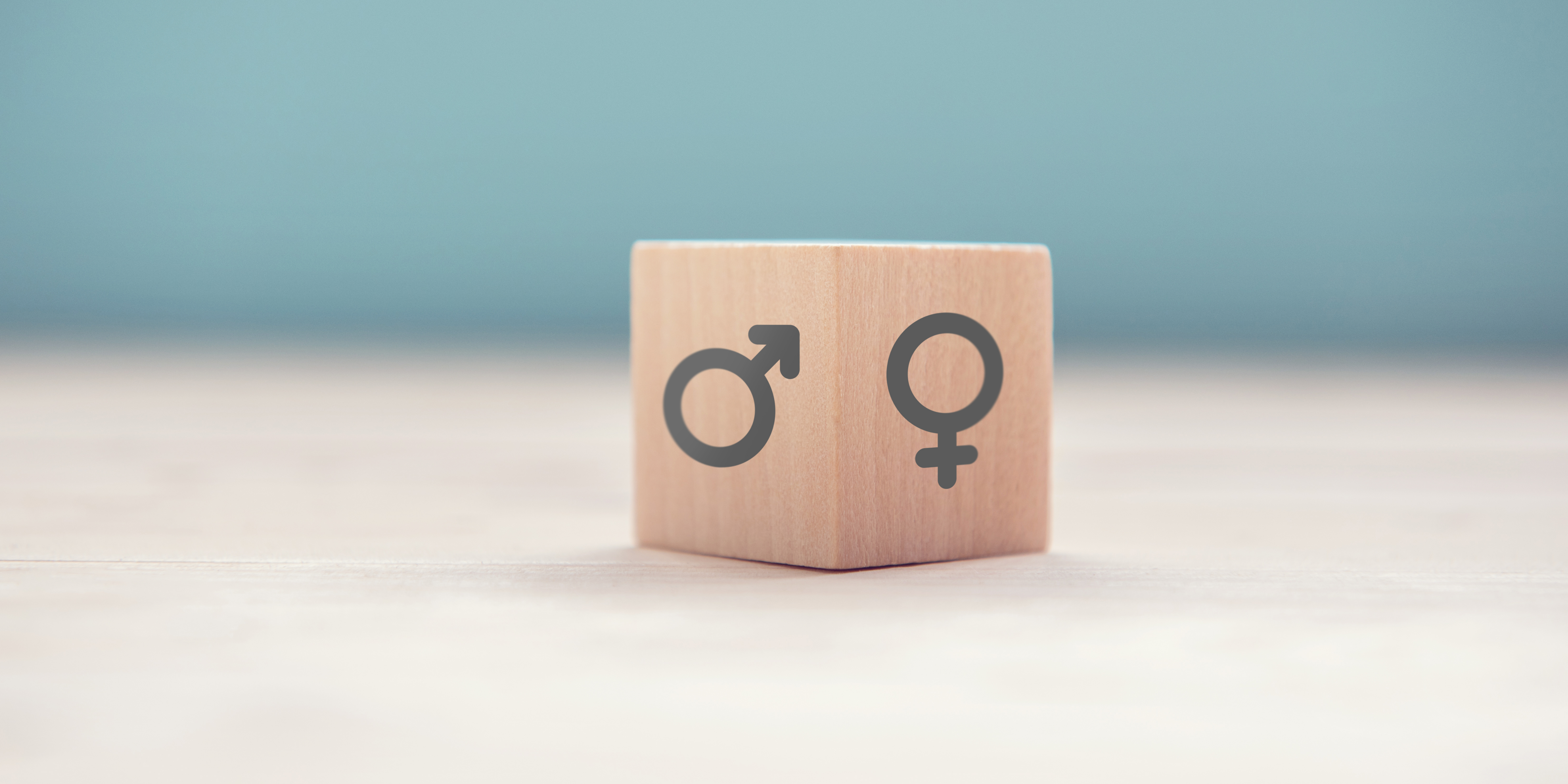 El DIE és un instrument que té la finalitat de reconèixer a les organitzacions compromeses amb la igualtat de gènere.  Font: Canva.