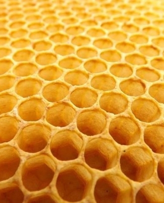 Ajuts destinats a la millora de la producció i la comercialització dels productes de l'apicultura 2020