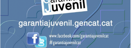 Programa de Garantia Juvenil a Catalunya Font: 