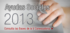 Ajuts socials 2013