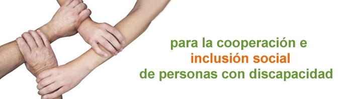 Ajuts de la Fundació ONCE per a la Cooperació i Inclusió Social de persones amb 