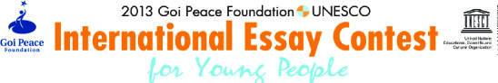 Concurs Internacional d'Assaig per a Joves 2013 