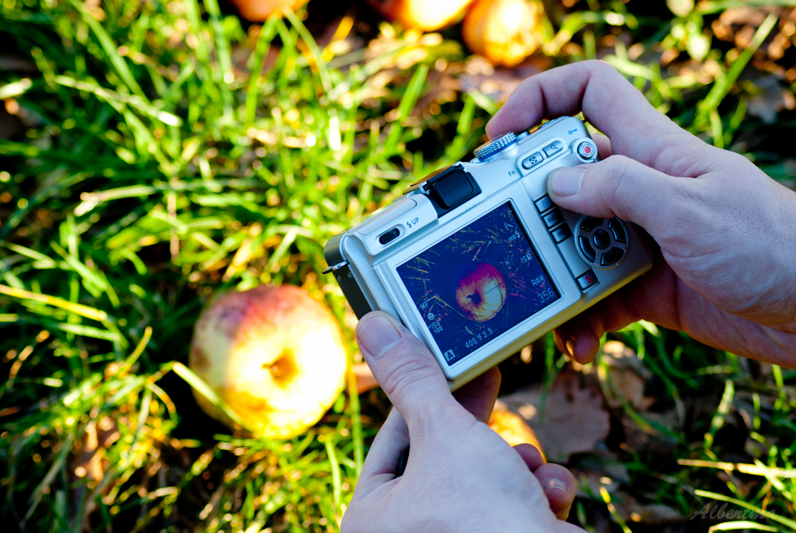 Càmera retratant una poma. Hàbits saludables a través de les TIC_albert_Flickr