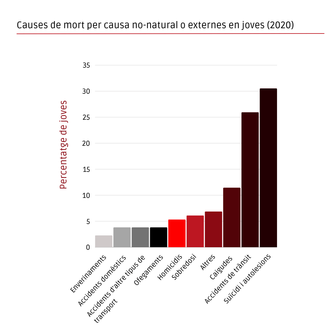 Principals causes de mort no naturals en joves