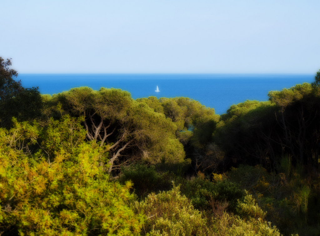 Mar Mediterrània_Queralt jqmj_Flickr