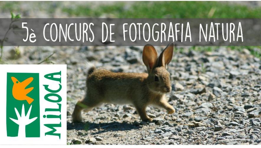  Miloca organitza un concurs de fotografia de natura (imatge: miloca)