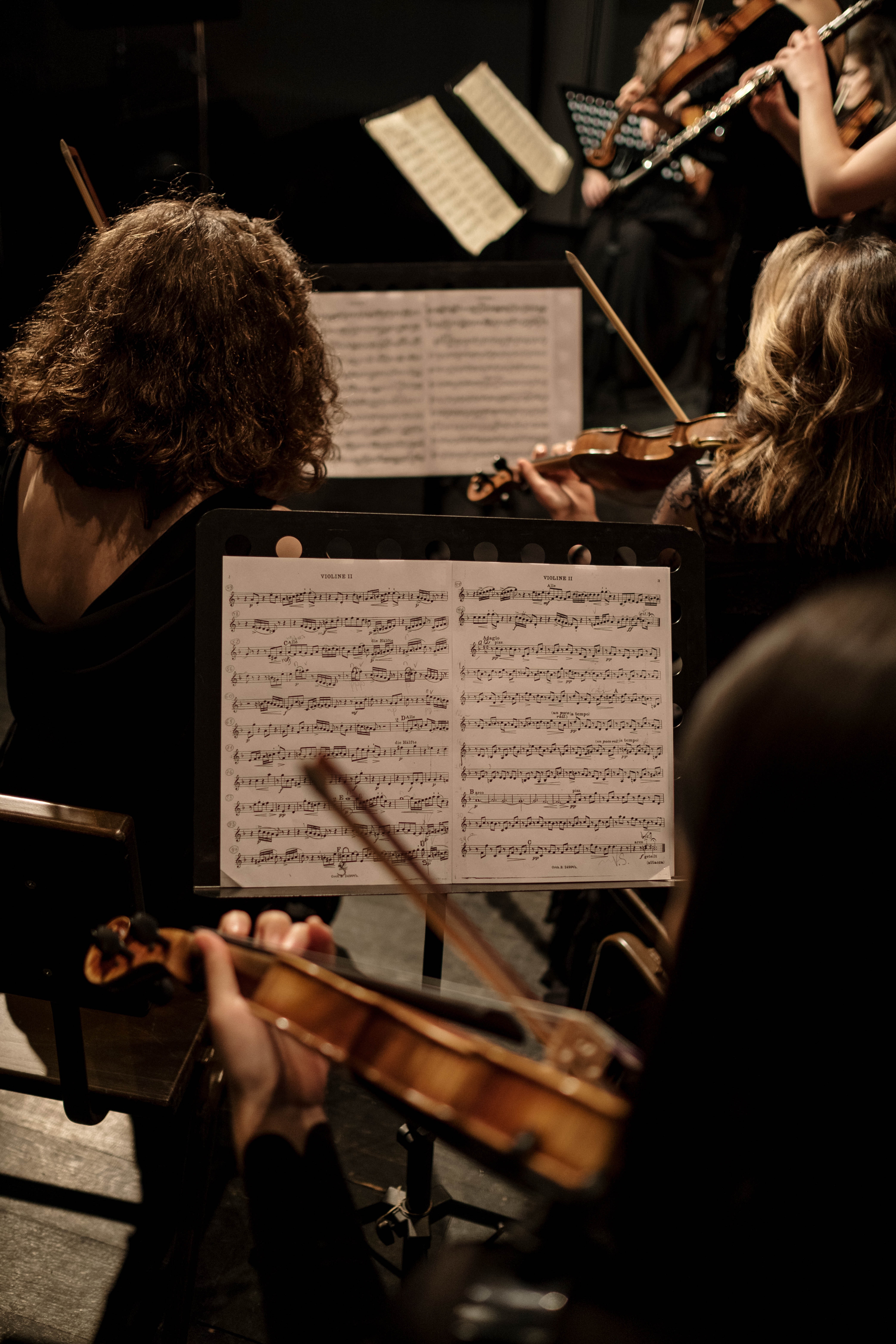 Músics tocant en una orquestra. Font: Pexels - cottonbro studio