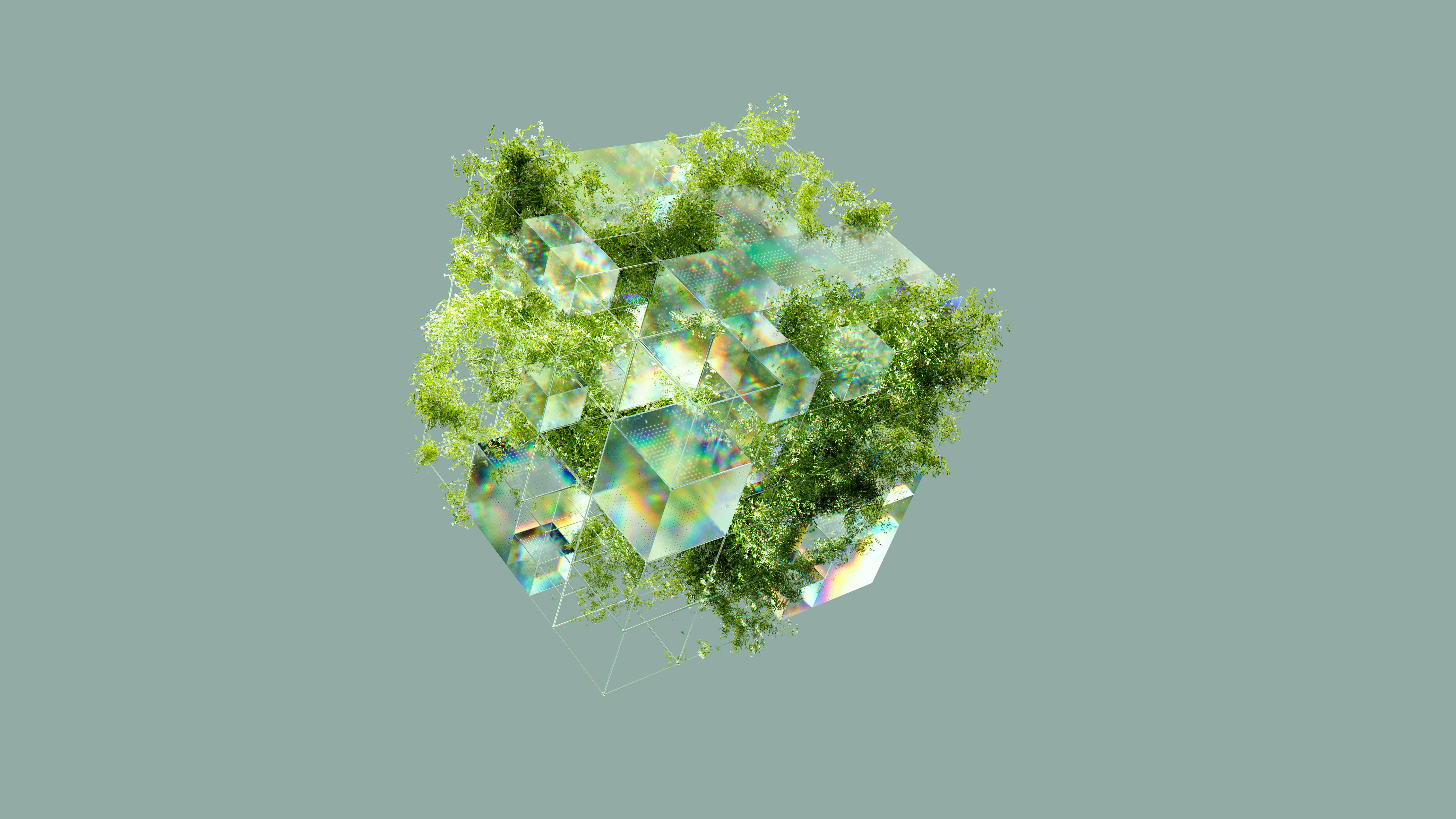 Imatge d'un cub de cristall amb gespa. Font: Pexels - Google DeepMind