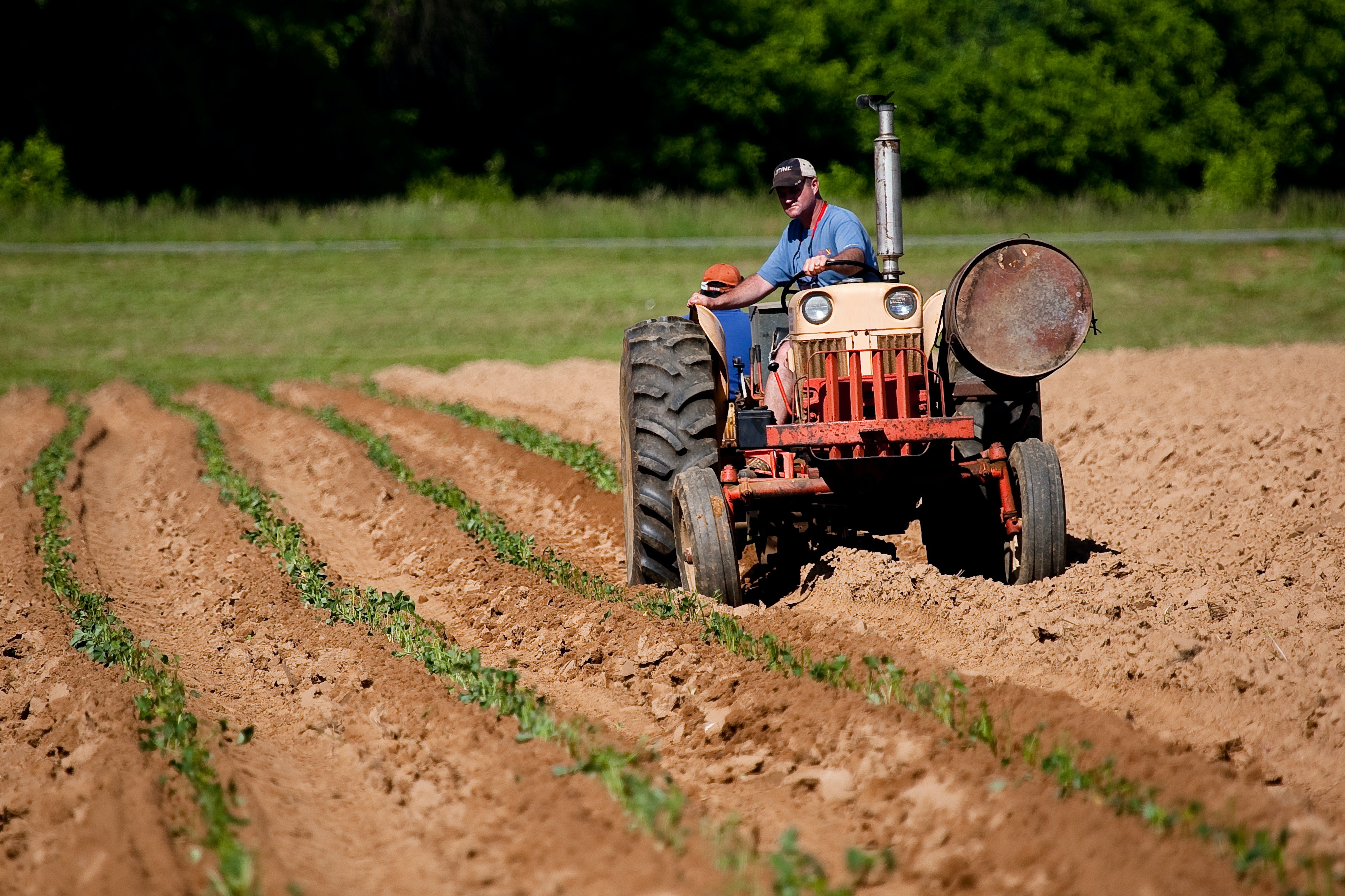 Persona llaurant un camp amb un tractor. Font: Pexels - Mark Stebnicki