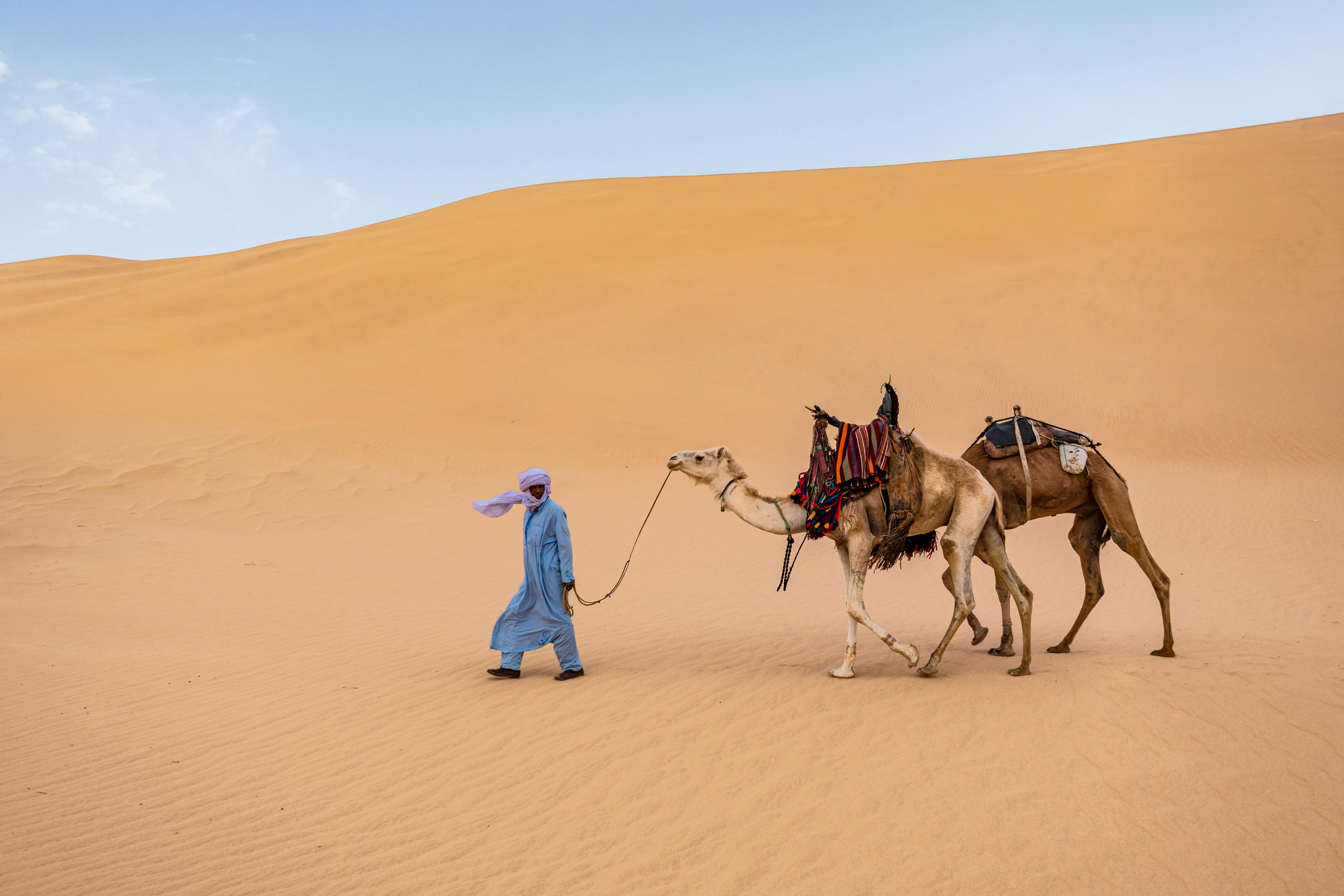Saharauí i camell al desert. Font: Pexels - Noureddine Belfethi
