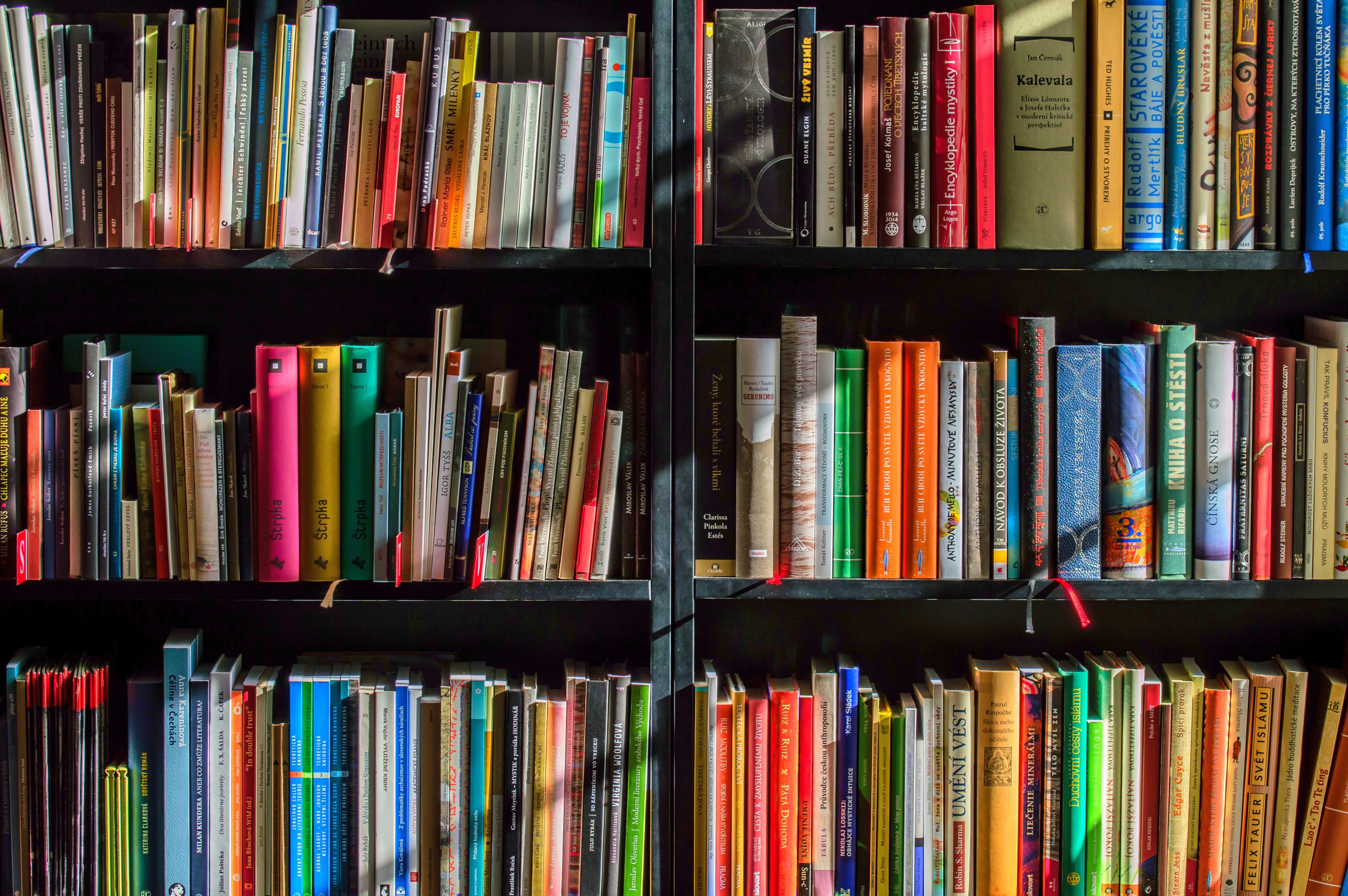 Llibres en una prestatgeria. Font: Pixabay