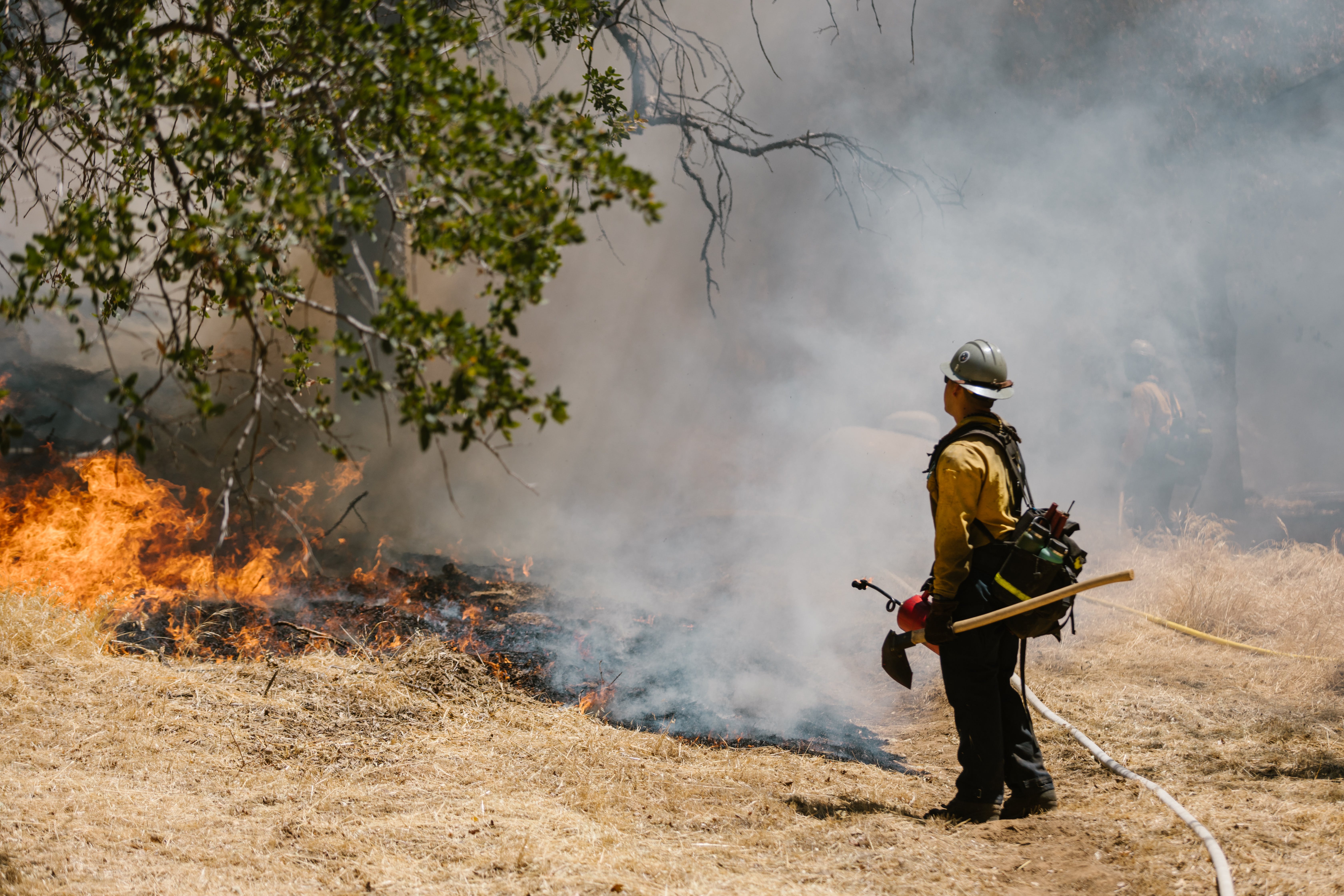 Control de foc forestal. Font: Pexels - RDNE Stock project