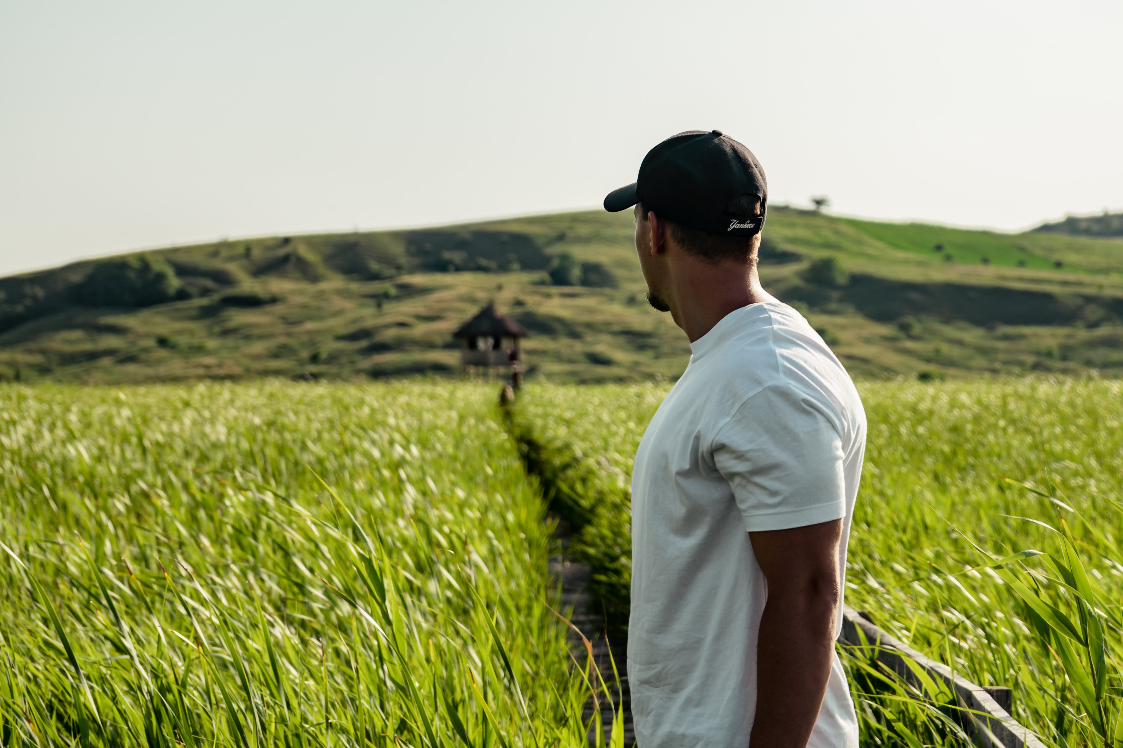 Noi mirant un camp de blat. Font: Pexels - Vlad Chețan