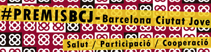 Premis Barcelona Ciutat Jove 2013 (Premis BCJ 2013)