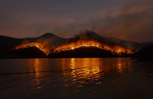 Els focs ja han arrassat amb 10 milions d'hectàrees, sent Nova Gales del Sur una de les zones més afectades. Font: Unsplash. Font: Font: Unsplash.