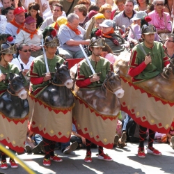 Les Festes del Tura són manifestacions del patrimoni cultural, artístic i tradicional de la ciutat d'Olot.